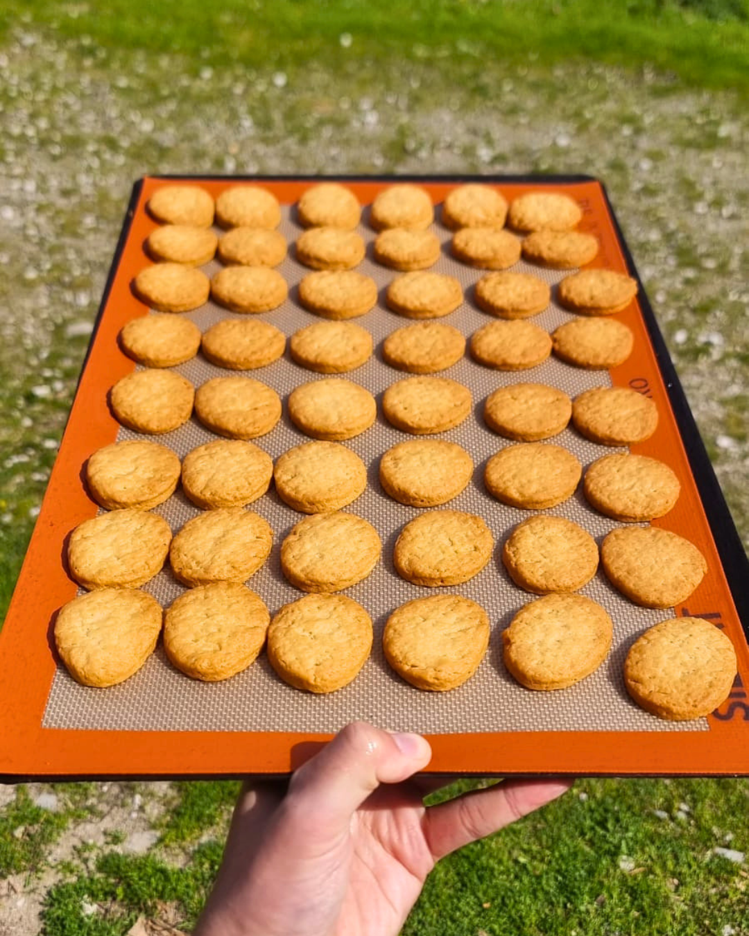 Coffret de Pâques – 24 Canistrelli chocolat noir & blanc (Duo biancu è neru)